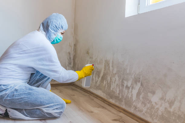 Mold Remediation specialist working in Elgin